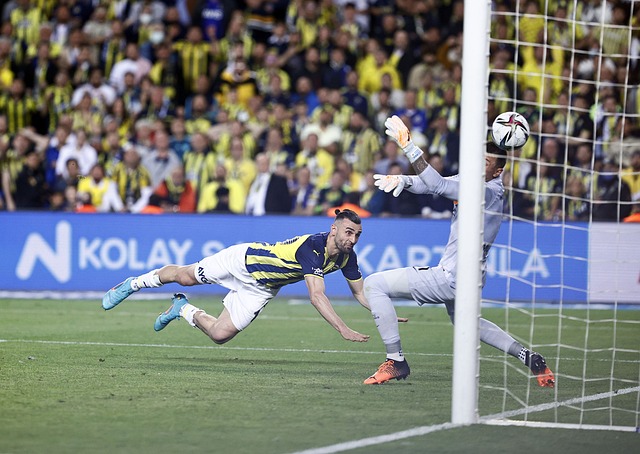 莫兰特有望 莫兰特有望