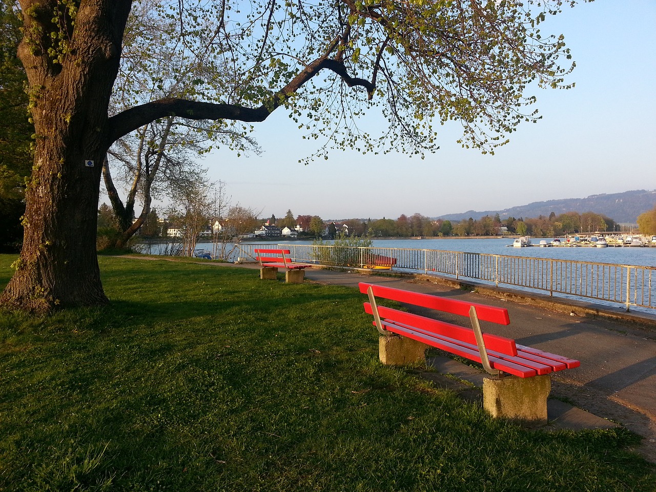 年僅23歲 年僅23歲