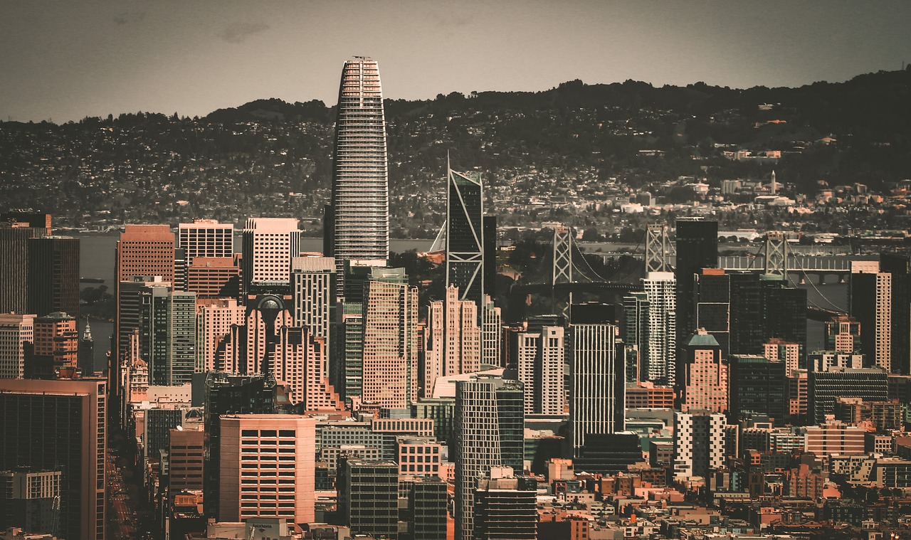 無疑是球迷 無疑是球迷