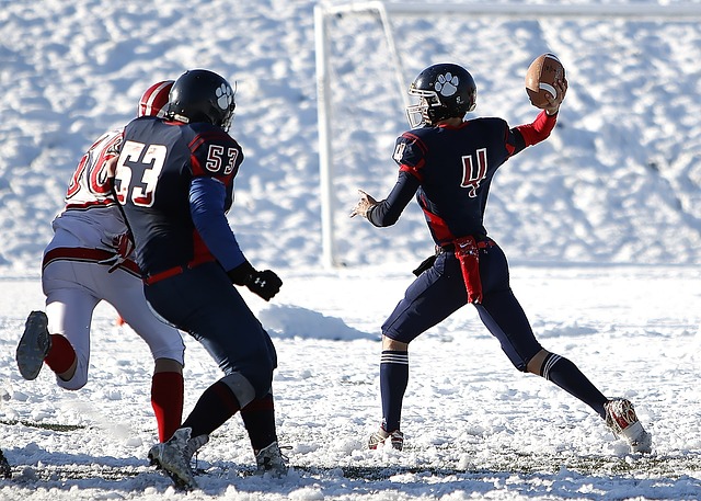 蒋导绝对是 蒋导绝对是