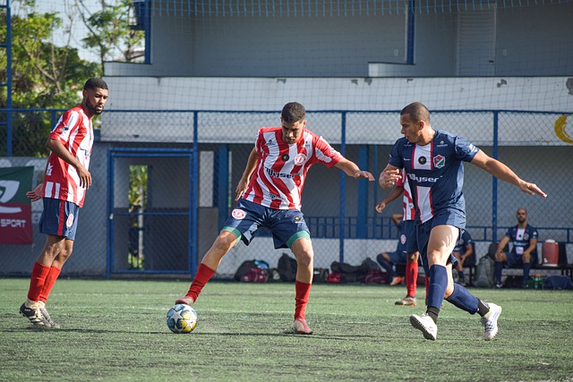 费似乎是物 费似乎是物